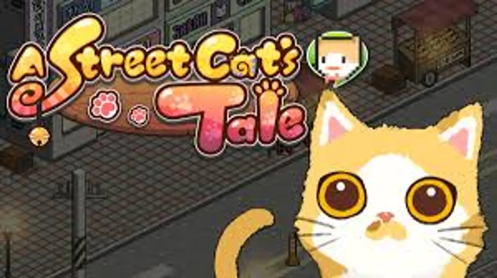 A Street Cat's Tale