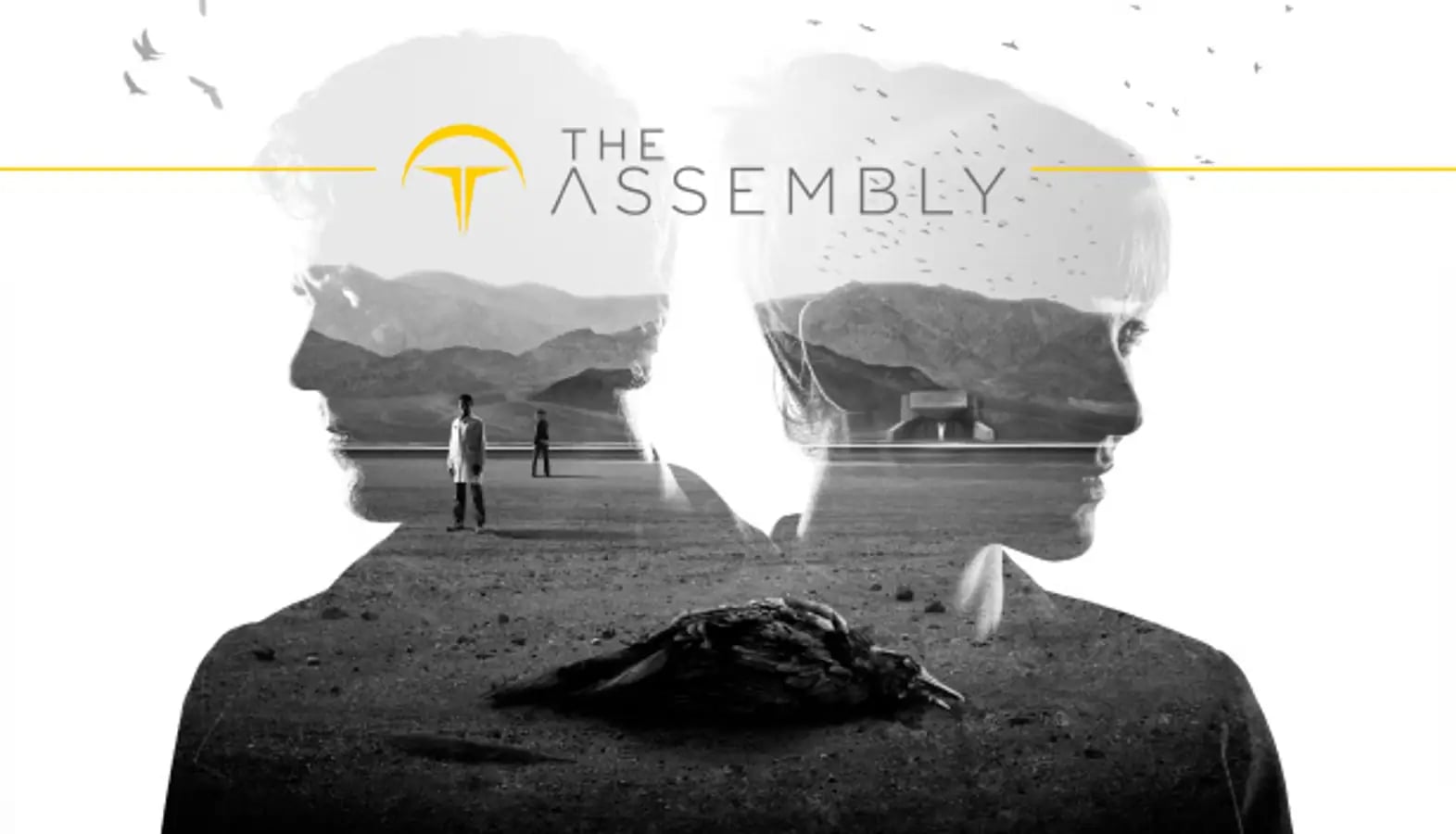 The Assembly